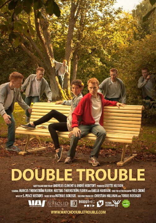 Двойные неприятности (2014) постер