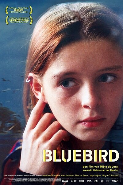 Синяя птица (2004) постер