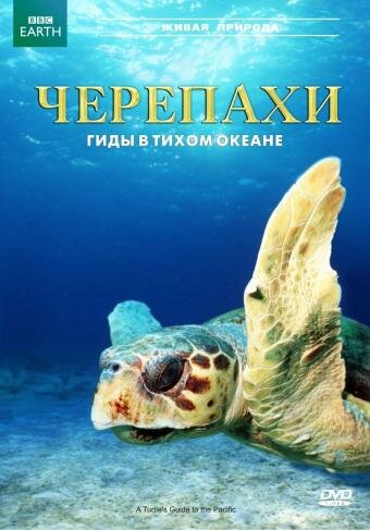 Черепахи: Гиды в Тихом океане (2008) постер