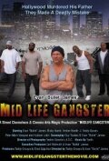 Mid Life Gangster (2013) постер