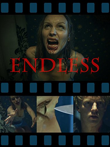 Endless (2011) постер