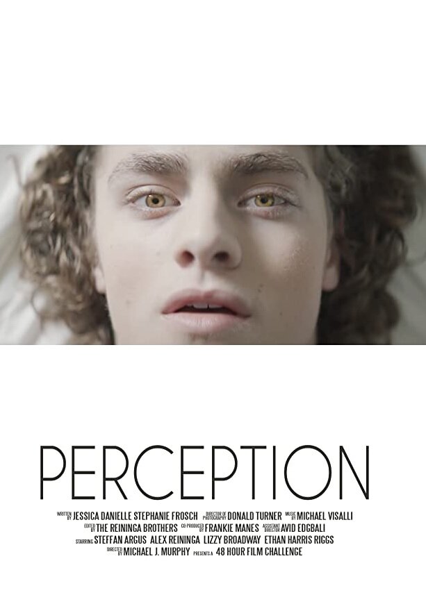 Perception (2017) постер