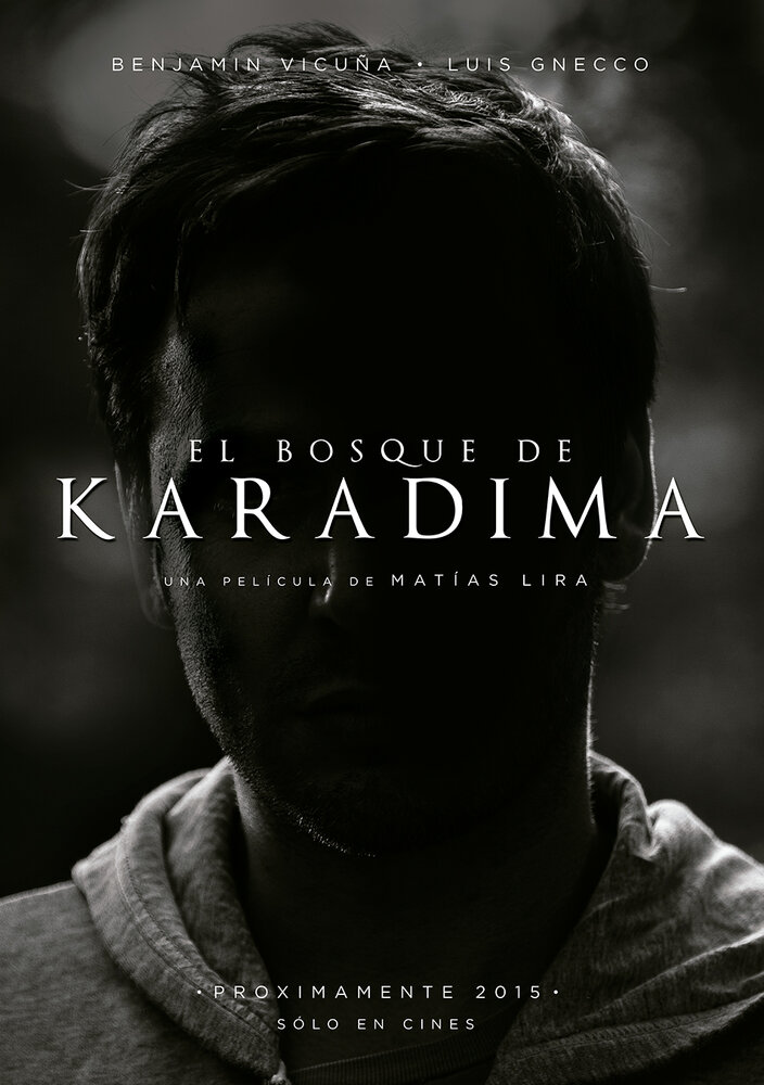 El Bosque de Karadima (2015) постер