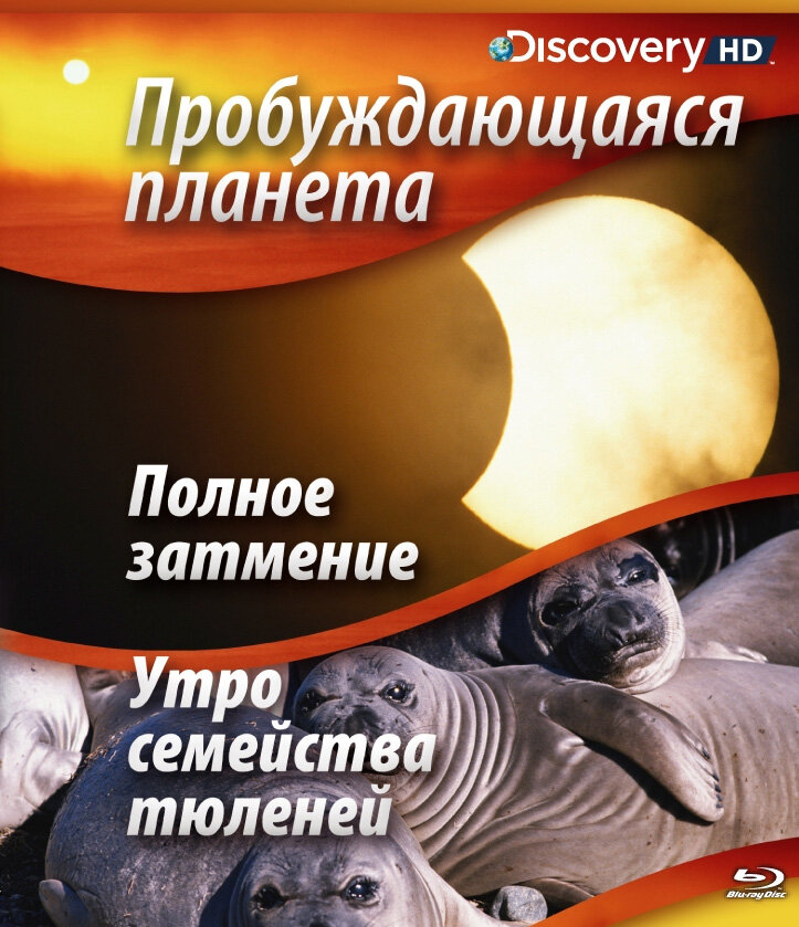 Пробуждающаяся планета (2004) постер