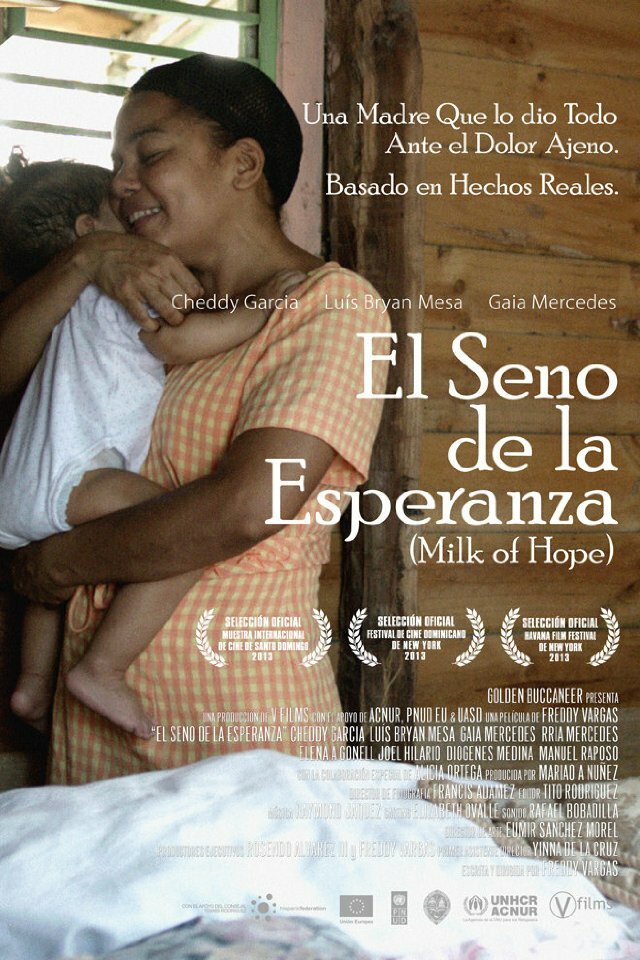 Звуки надежды (2013) постер