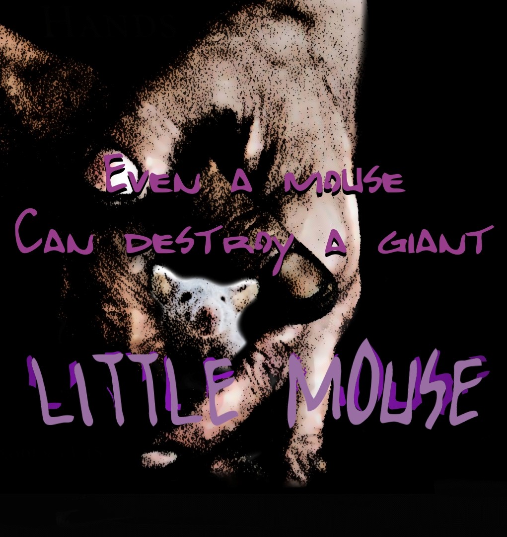 Little Mouse постер