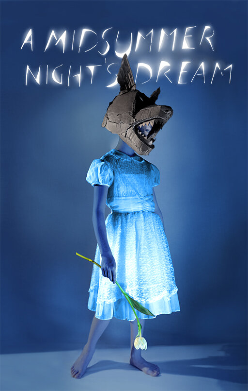 Сон в летнюю ночь (2014) постер
