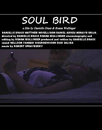 Soul Bird (2014) постер