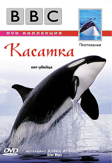 BBC: Касатка (2003) постер