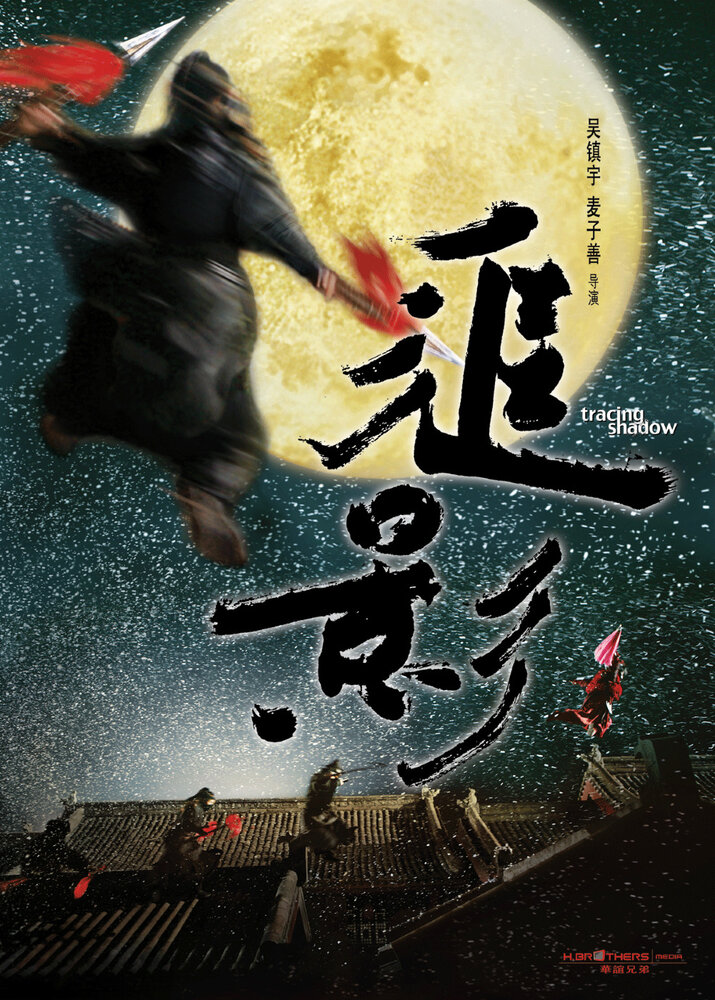 В погоне за тенью (2009) постер