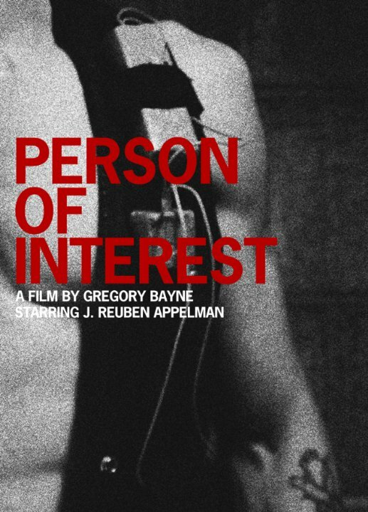 Person of Interest (2010) постер