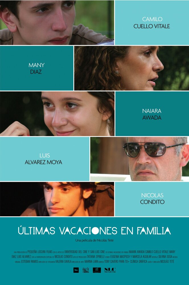 Последние каникулы в семье (2013) постер