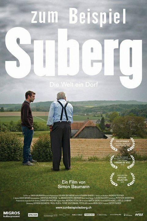 Из жизни деревни Зуберг (2013) постер