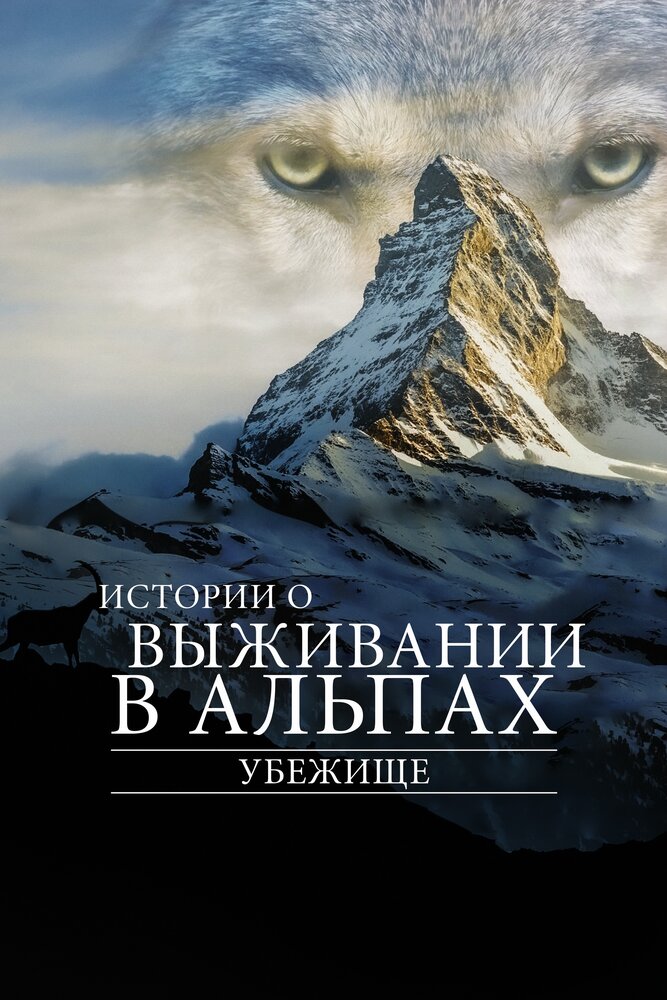 Убежище. Истории о выживании в Альпах (2019) постер