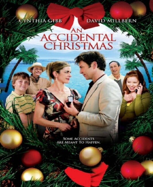 Случайное Рождество (2007) постер