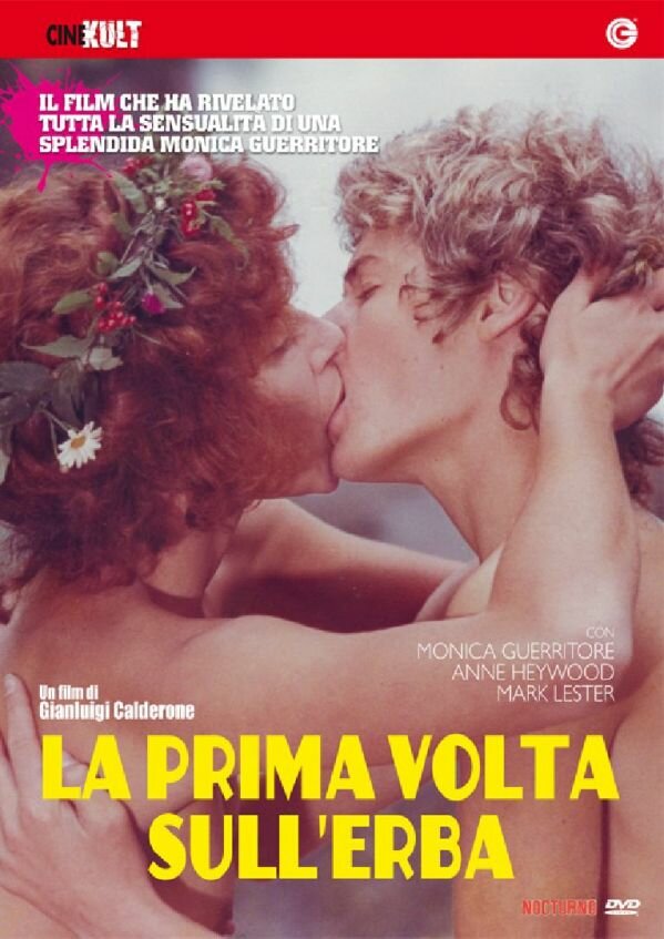 Любовь под вязами (1975) постер