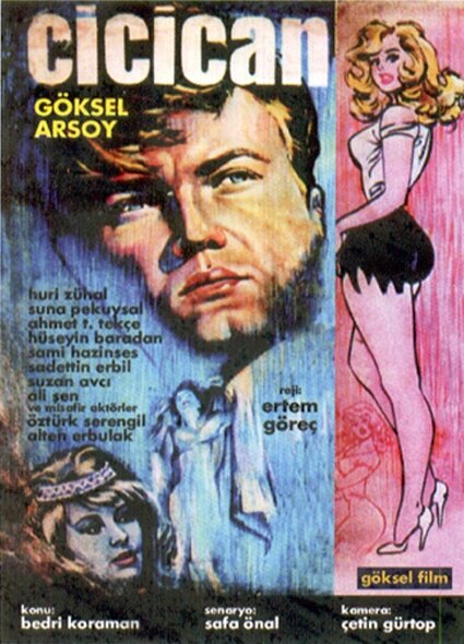 Cici Can (1963) постер