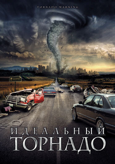 Идеальный торнадо (2002) постер