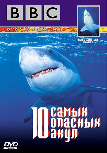 BBC: 10 самых опасных акул (2001) постер