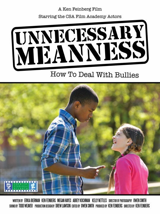 Unnecessary Meanness (2013) постер