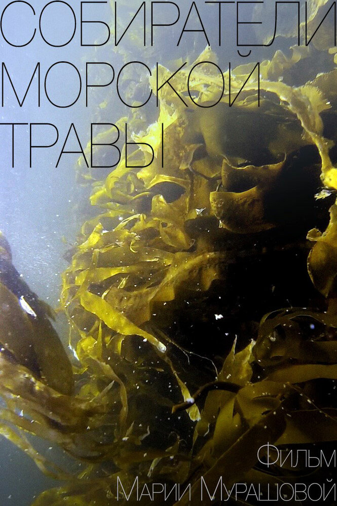 Собиратели морской травы (2016) постер