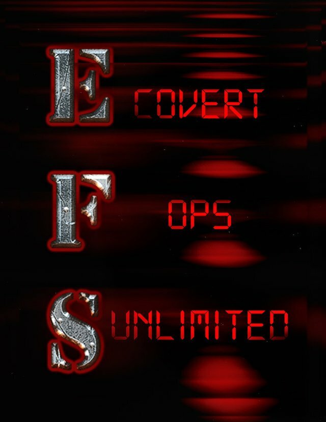 EFS: Covert Ops Unlimited (2012) постер