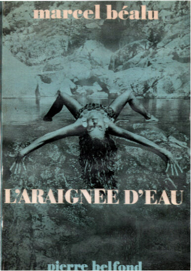 L'araignée d'eau (1971) постер