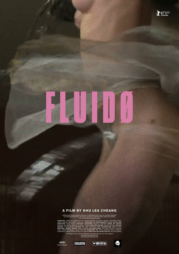 Fluidø (2017) постер