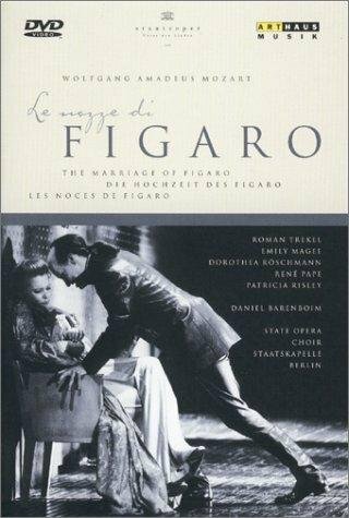 Женитьба Фигаро (1999) постер