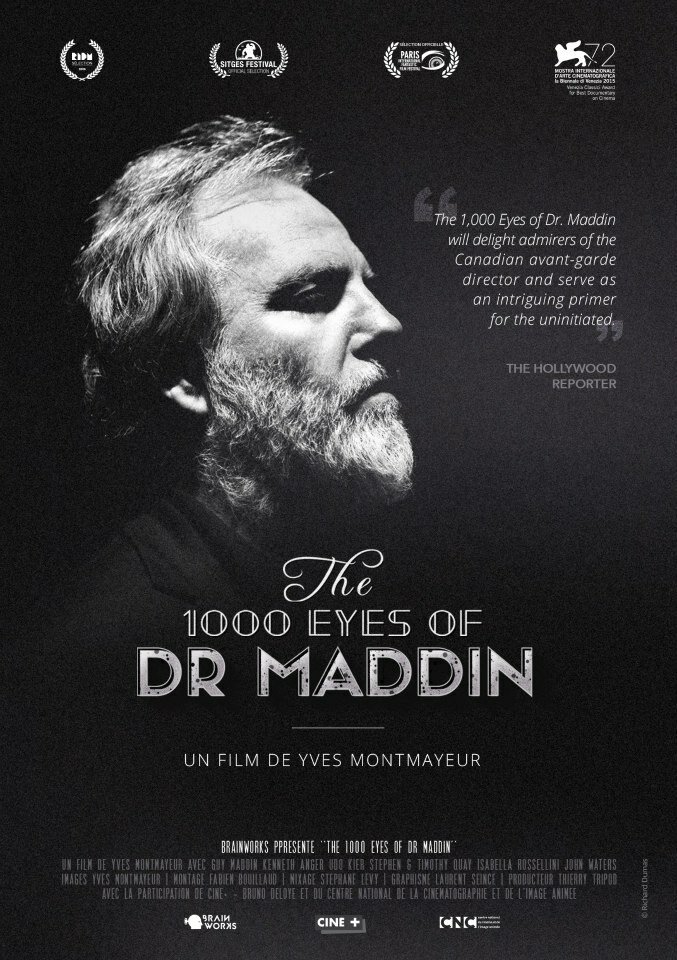1000 взглядов доктора Мэддина (2015) постер
