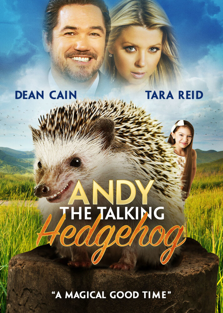 Andy the Talking Hedgehog (2018) постер