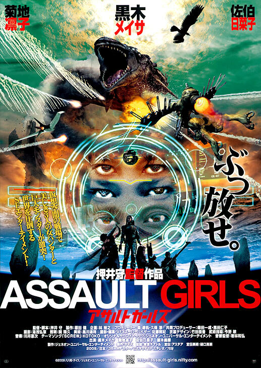 Штурмовые девушки (2009) постер