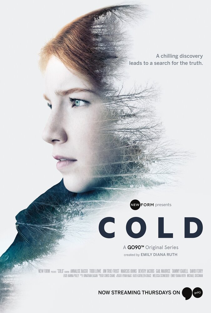 Холод (2016) постер