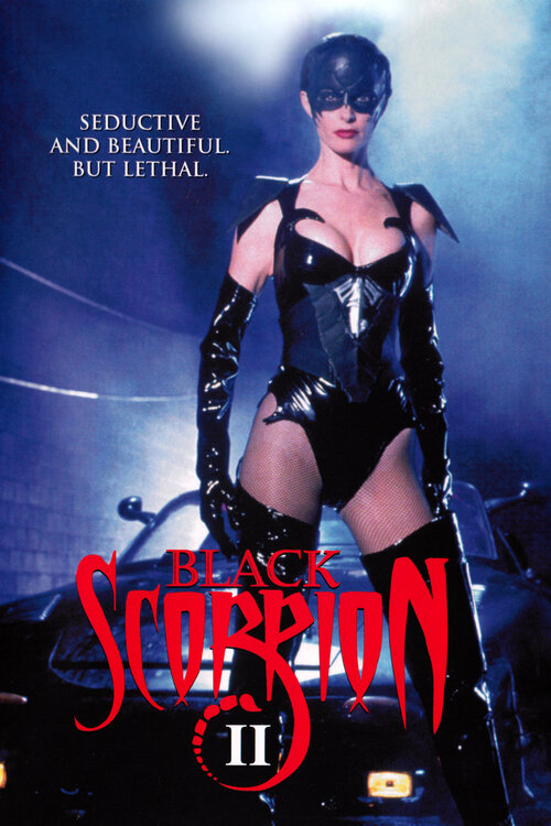 Черный скорпион 2: В эпицентре взрыва (1996) постер